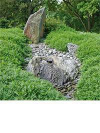 Pleioblastus pygmaeus