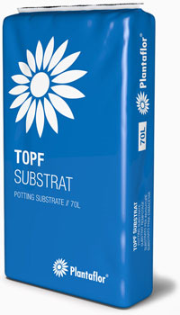 Bambus-Stuttgart: Bambus Pflanzsubstrat Plantaflor - 70 Liter - Ort: Stuttgart Bambus-Stuttgart: Bambus Pflanzsubstrat Plantaflor - 70 Liter - Ort: Stuttgart
